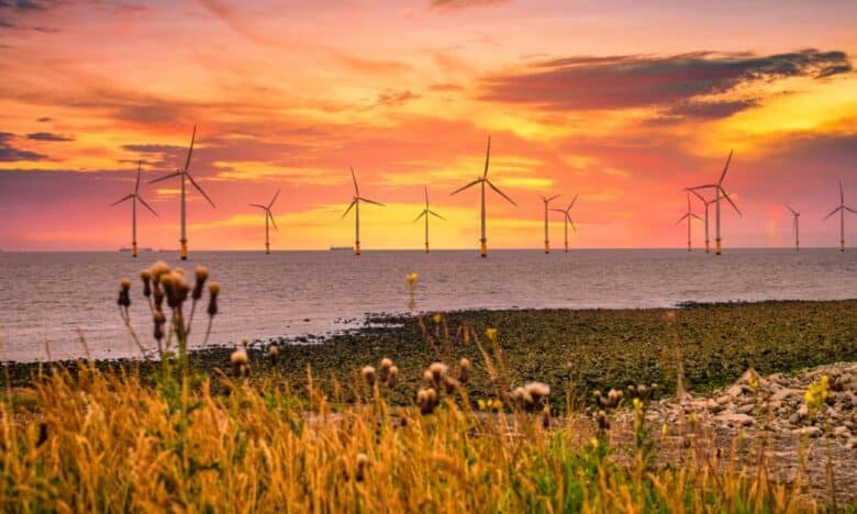 Is Offshore Wind Worth It? A Look at Its Pros and Cons