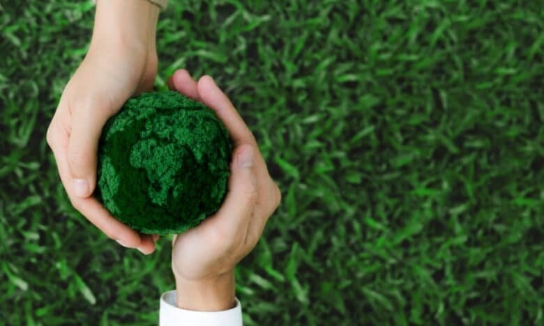 Success Stories from Countries Going Green