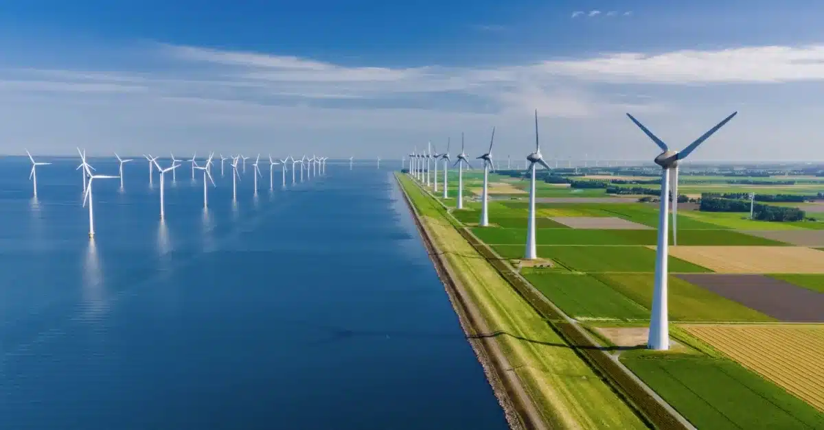 Green Energy, Steep Costs The Netherlands’ Reality Check