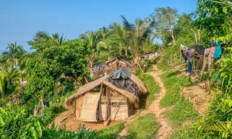 Lighting the Nation Amid Napocor’s Troubles