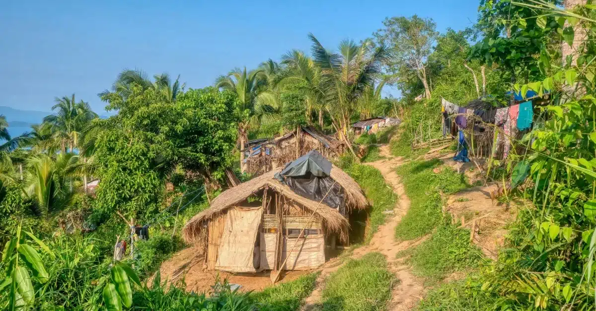 Lighting the Nation Amid Napocor’s Troubles