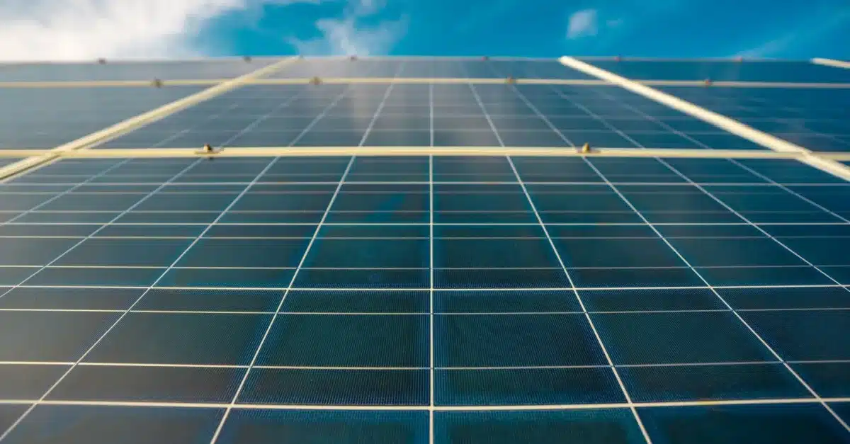 MGEN Triumphs at 2025 Asian Power Awards for Leadership and Innovation