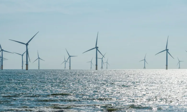 Renewable Energy Boom Could Threaten Livelihoods, Fisherfolk Group Warns