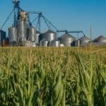 The Fossil Fuel Reality Behind the Energy Transition