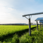 DA, DOE Move To Shield 3 Million Hectares Of Farmland From Solar Projects