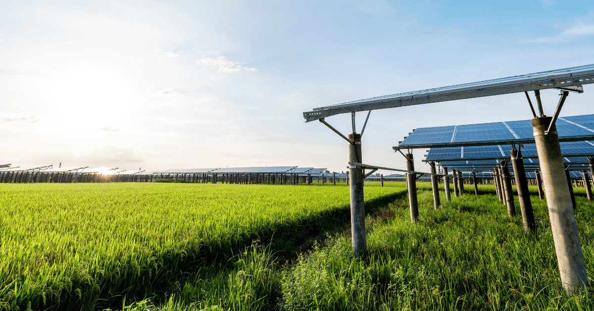 DA, DOE Move To Shield 3 Million Hectares Of Farmland From Solar Projects